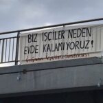 Pelin Abay Instagram -