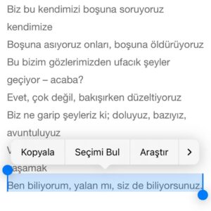 Pelin Abay Instagram - cari dönem talihin yaver gidilimi ✍🏻