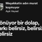 Pelin Abay Instagram - Raks-ı FeLeK