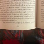 Pelin Abay Instagram - İyi bir personal space ha? ❤️‍🩹
