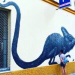 Pelinsu Pir Instagram -