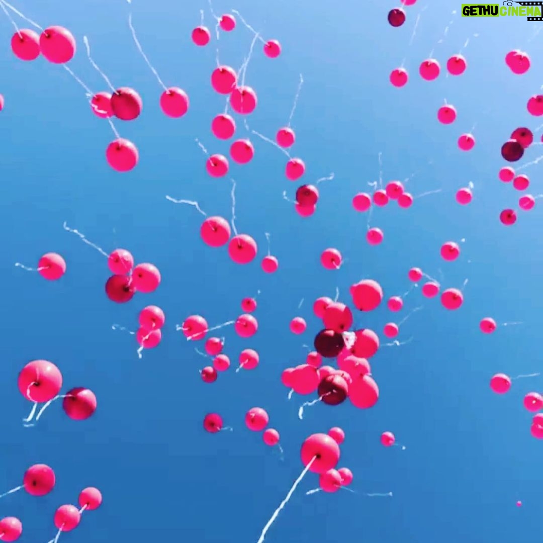 Pelinsu Pir - 6.9K Likes - Biz dün son bölümümüzün son sahnesini de bitirdik. Duygulara sığamadık, fotoğraflara sığamadığımız gibi... Çok söyleyecek sözüm var, yaptığımız iş ve birlikte ter döktüğüm can arkadaşlarım ,can dostlarımla ilgili ama ben de cümlelere sığamıyorum... En iyisi, ne diyordu Zeynep ,”Çok Sevgi Annem” 🙏❤️🎈@zeyntann #istanbullugelin #final
