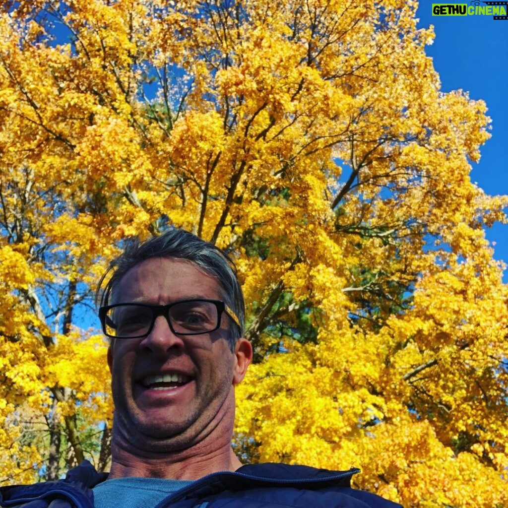 Penn Holderness Instagram - Wow you guys the trees are so beautiful this time of year. Maybe this will CHINinspire someone to paint a picture #doublechinstagram