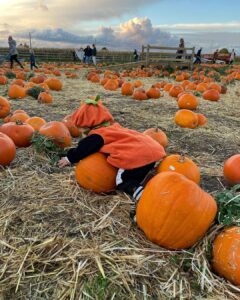 Perrie Edwards Instagram - Pumpkin patch with our icle Pumpkin 🎃🥹