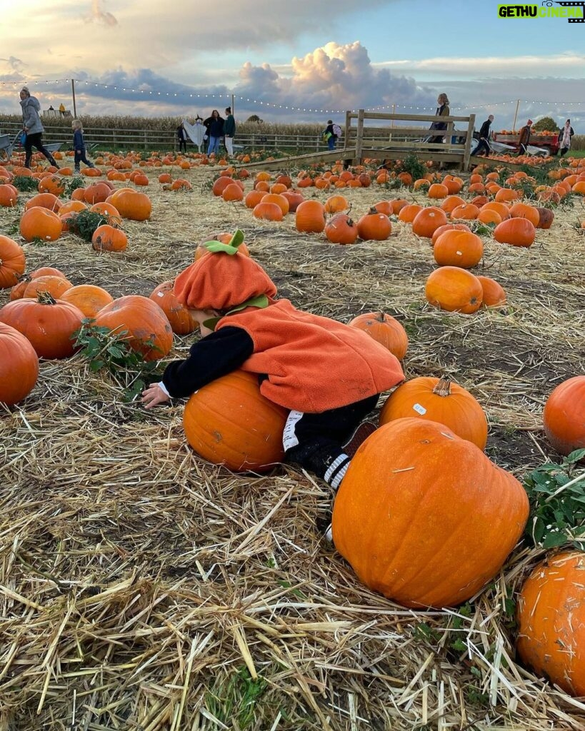 Perrie Edwards Instagram - Pumpkin patch with our icle Pumpkin 🎃🥹