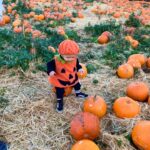 Perrie Edwards Instagram - Pumpkin patch with our icle Pumpkin 🎃🥹