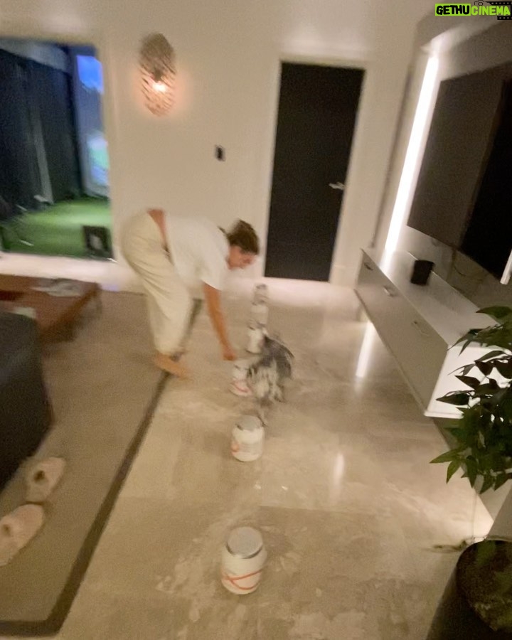 Perrie Edwards Instagram - Lockdown 3 has provided zero content, so here’s some random shit 😌