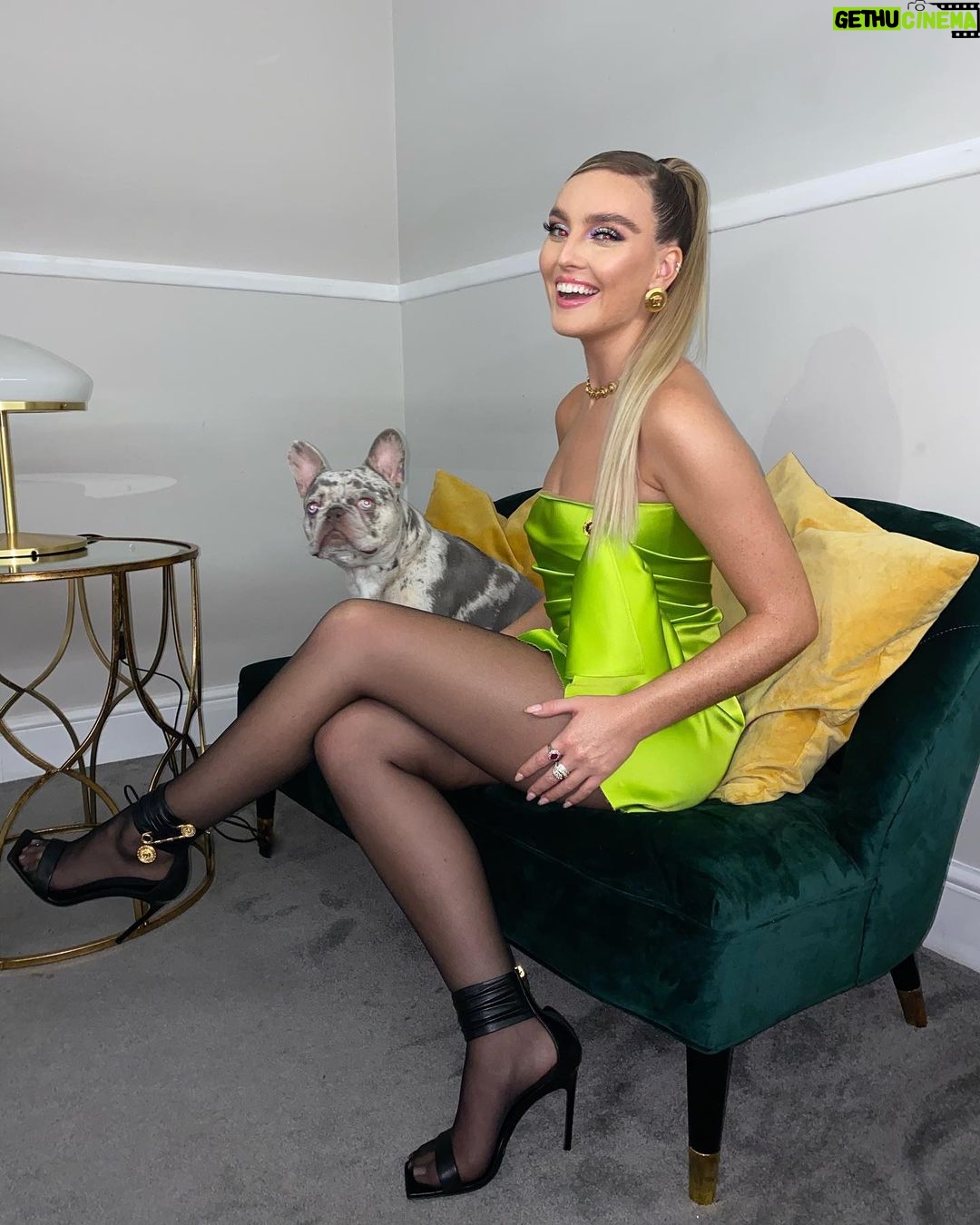 Perrie Edwards Instagram - Travis said “Move over Hatchi you’ve had enough of the limelight” 💚