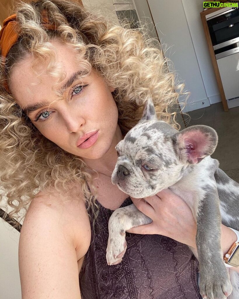 Perrie Edwards Instagram - Curly Sue & Travipoo 🐾