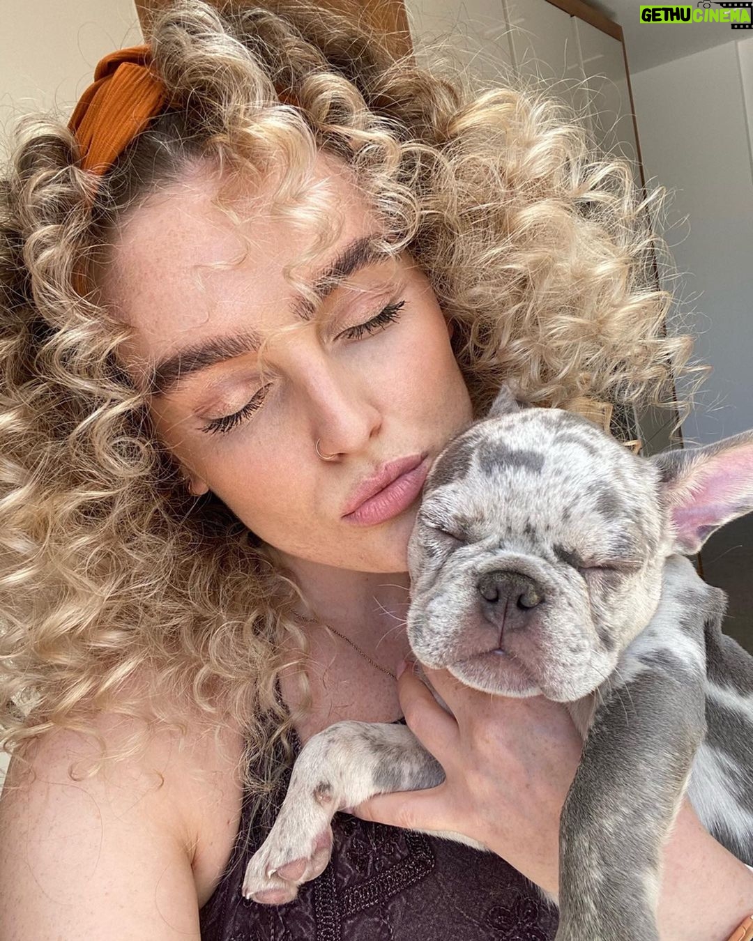 Perrie Edwards Instagram - Curly Sue & Travipoo 🐾