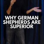 Pete Correale Instagram – What is the best dog to have as a pet? I gotta say it’s a German Shepherd! 🐕 

UPCOMING TOUR DATES:
JAN 19 – PORTLAND, OR (@hawthornetheatrepdx)
JAN 20 – LOS ANGELES, CA (@regenttheaterla)
FEB 2 – DALLAS, TX (@theechodallas)
FEB 3 – PHOENIX, AZ (@thevanburenphx)
FEB 9 – ST. LOUIS, MO (@citywinerystl)
FEB 10 – OMAHA, NE (@theslowdown)

#PeteCorreale #StandUp #Comedy #Dog #GermanShepherd