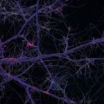 Peter Gabriel Instagram - We rather liked this video for Olive Tree created by Matthew Dimakos, so thought we would share it. You can watch the full clip on his YT channel…