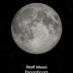 Peter Gabriel Instagram - As we reach the first full moon of 2024, let’s take a journey back to the full moons of 2023. Special thanks to @nasa for providing the beautiful images.