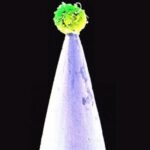 Peter Gabriel Instagram - 12th anniversary of New Blood… “We were trying to explore things to see if we could do it differently. There are places on this record where you hear something that you won’t have heard before. And that’s always exciting to me. So we chose songs that were more textural, more evocative, ambient pieces.” - PG