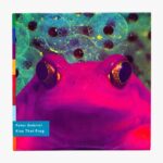 Peter Gabriel Instagram - Today marks 30 years of Peter's release 'Kiss That Frog'. The frog image on the single cover was created by Jim Atkinson and Jim Cahill/Ideas Creative Consultants, and the accompanying music video, which was directed by Brett Leonard, won the category of Best Visual Effects in 1994 at the @vmas. 📸 Kiss That Frog artwork from the Us album booklet by Bili Bidjocka, Cameroon