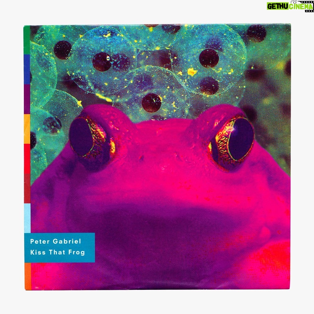 Peter Gabriel Instagram - Today marks 30 years of Peter's release 'Kiss That Frog'. The frog image on the single cover was created by Jim Atkinson and Jim Cahill/Ideas Creative Consultants, and the accompanying music video, which was directed by Brett Leonard, won the category of Best Visual Effects in 1994 at the @vmas. 📸 Kiss That Frog artwork from the Us album booklet by Bili Bidjocka, Cameroon