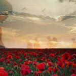 Peter Jones Instagram - Remembering all those who made the ultimate sacrifice so that the rest of us could live a life of freedom. With gratitude we salute you. Lest we forget