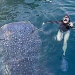 Pevita Pearce Instagram – Say hello to my new friend, Mowi ✨🐋🦈 Amanwana