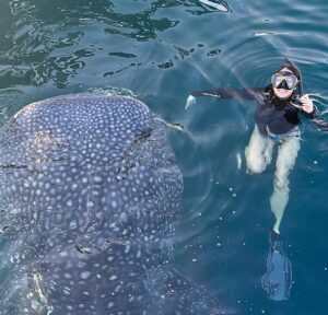 Pevita Pearce Instagram - Say hello to my new friend, Mowi ✨🐋🦈