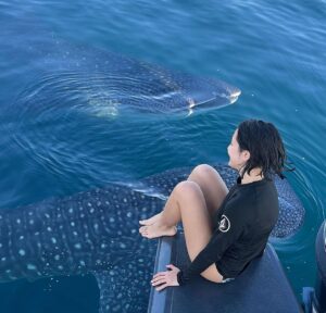 Pevita Pearce Instagram - Say hello to my new friend, Mowi ✨🐋🦈 Amanwana