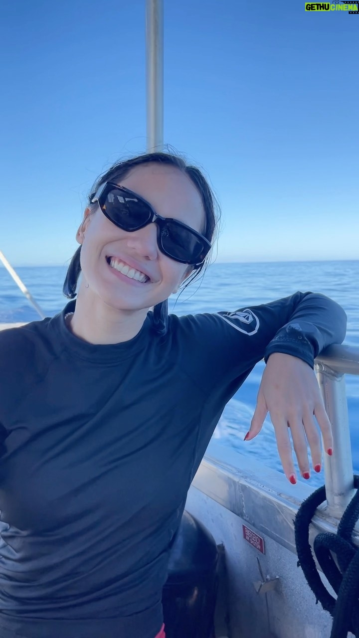Pevita Pearce Instagram - Jaw-some experience 🦈