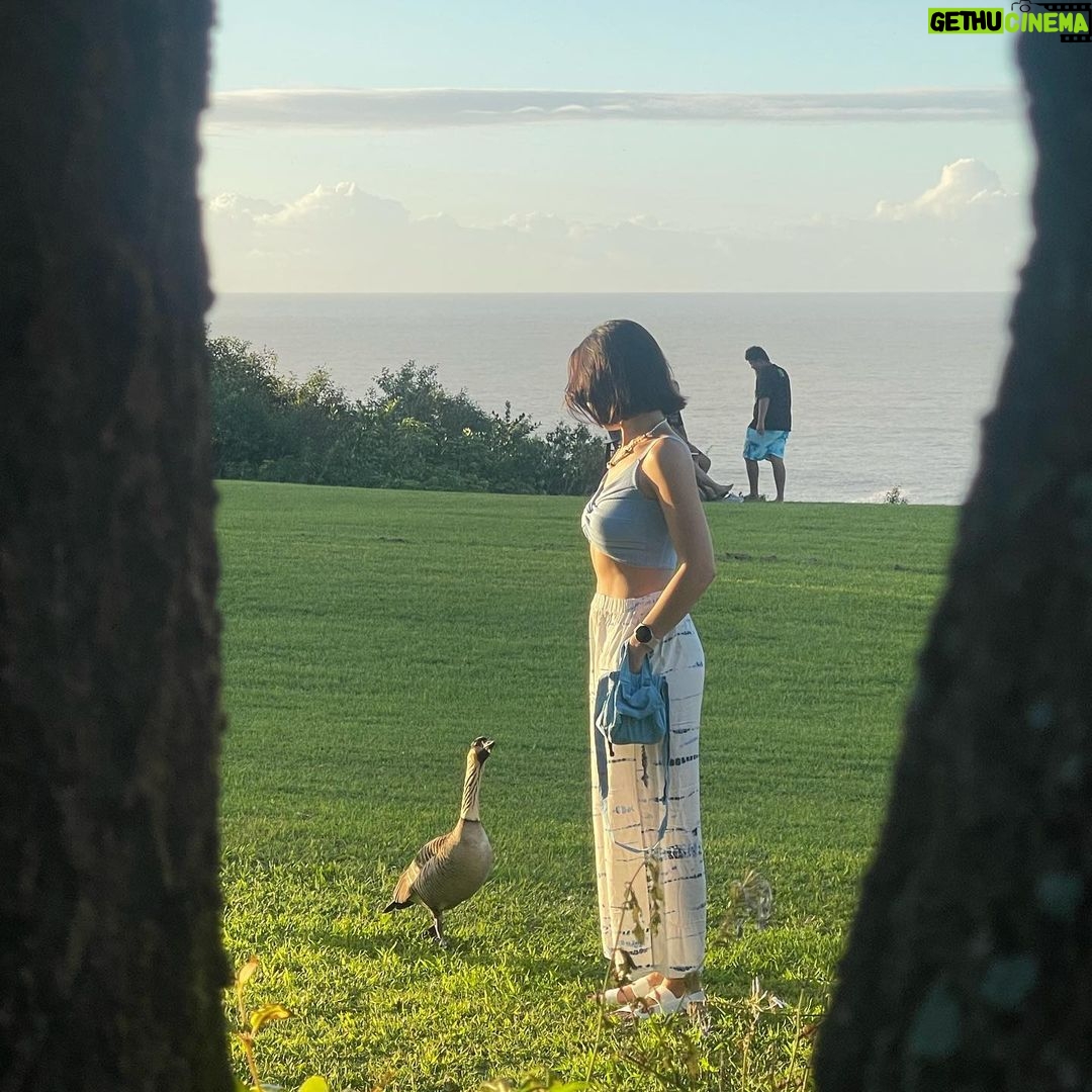 Pevita Pearce Instagram - πΈποΈπ«§πΊ