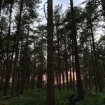PewDiePie Instagram - Summer finally came and we went camping around UK again. This time with friends! 🏕️🌞