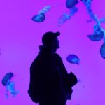 PewDiePie Instagram - Jellyfish emoji