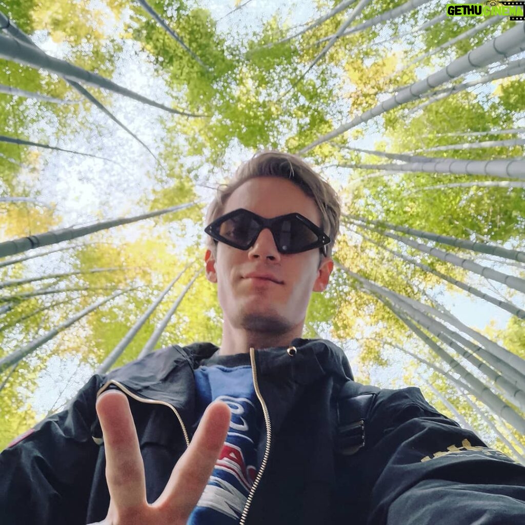PewDiePie Instagram - Big trees, big moves 😎✌️