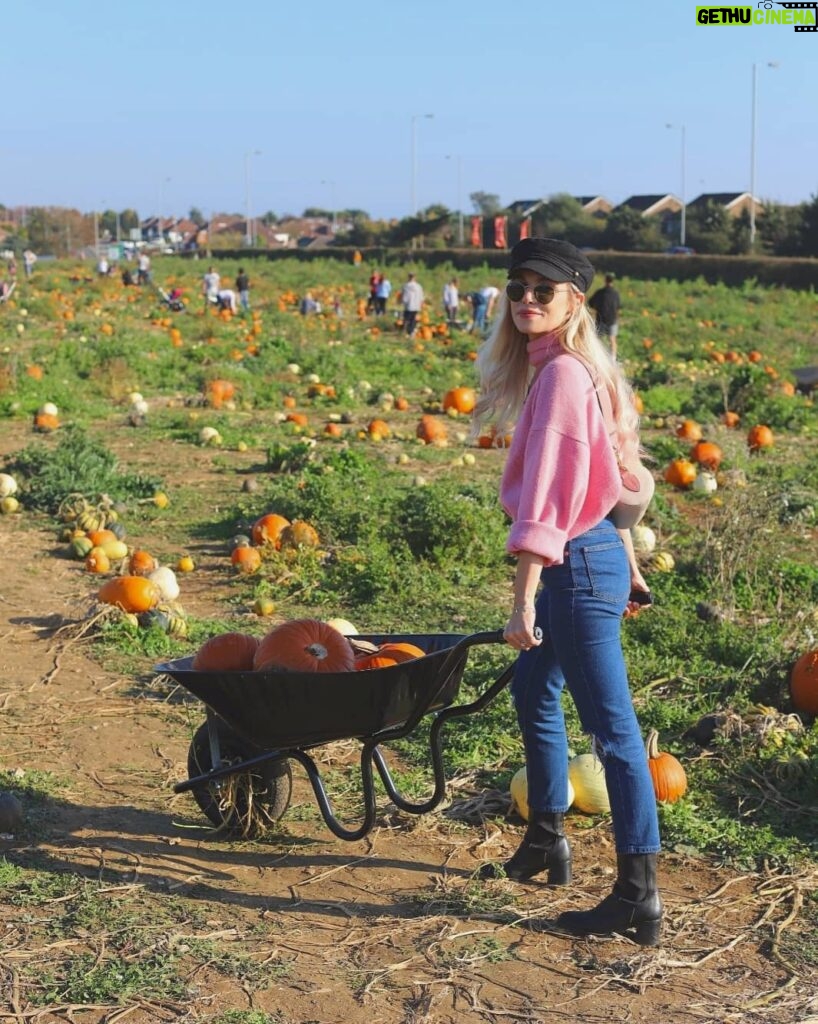 PewDiePie Instagram - Happy birthday to my number1 girl ❤️🤠🎈 (but after maya ofc). We had a lovely day going to a pumpkin patch for the first time!