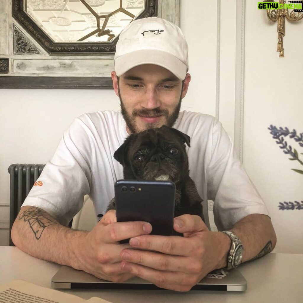 PewDiePie Instagram - Me🧒 and Edgar🐶 love the honor view 10 phone.🤳 Heres us looking at what my next dog will be. #ad Save $50 on this phone when you register or sign in to your HiHonor.com account. *Valid in the US only and open to May 28. https://goo.gl/Mz3q9e or link in bio