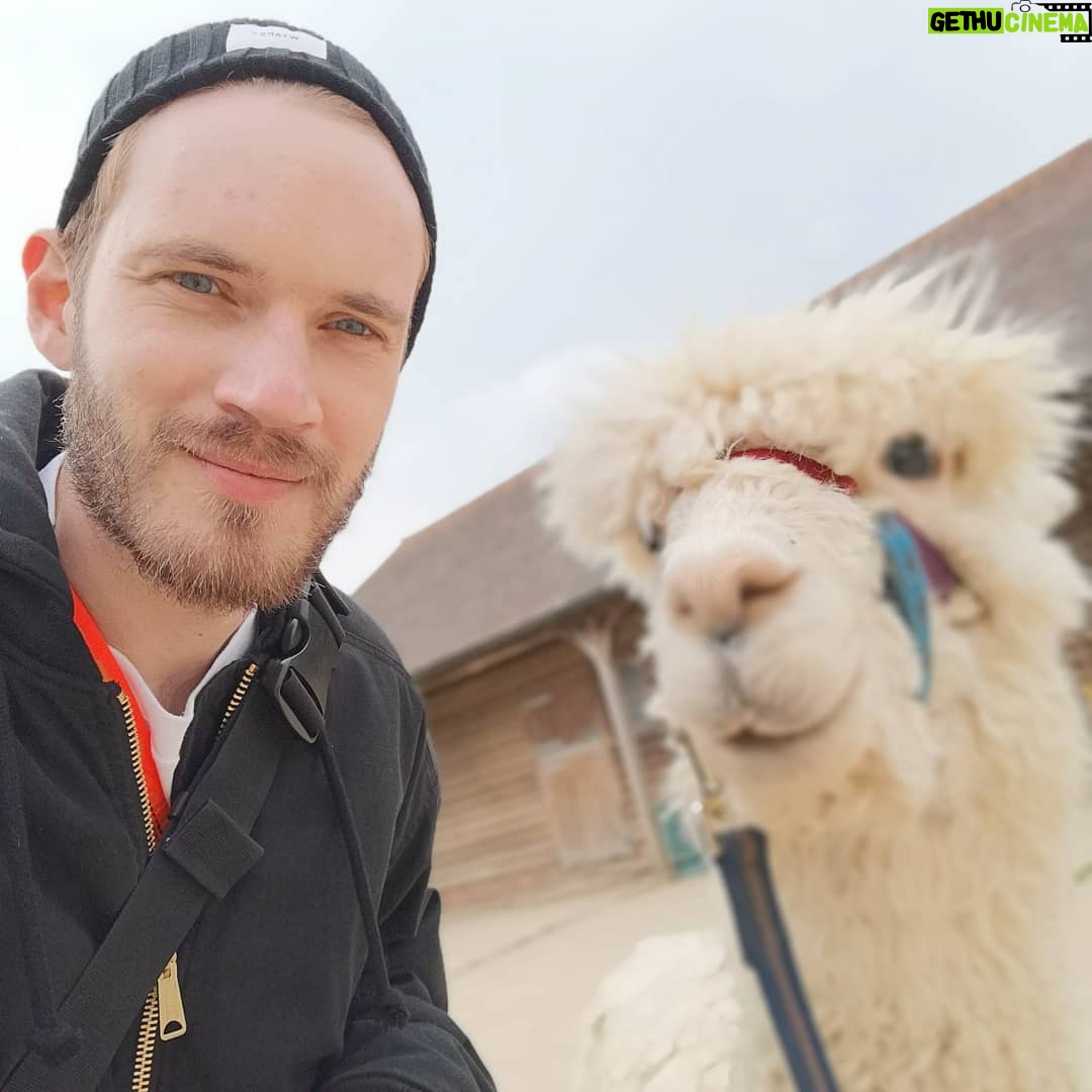 PewDiePie Instagram - Me and @itsmarziapie look SO cute in this photo together 😍