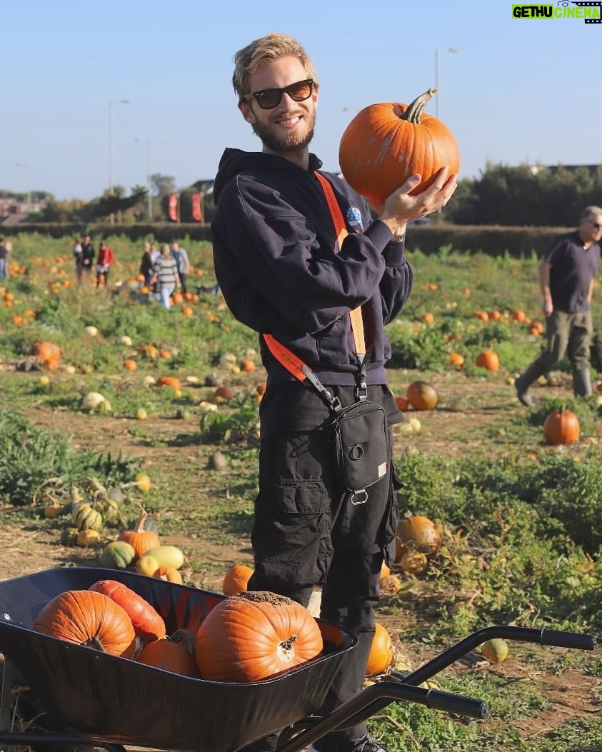 PewDiePie Instagram - Happy birthday to my number1 girl ❤️🤠🎈 (but after maya ofc). We had a lovely day going to a pumpkin patch for the first time!