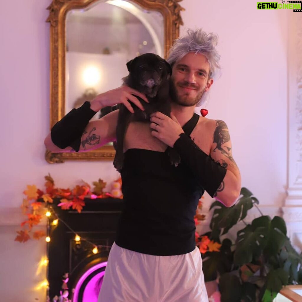 PewDiePie Instagram - Happy Halloween from a very scuffed Polnareff and Iggy!