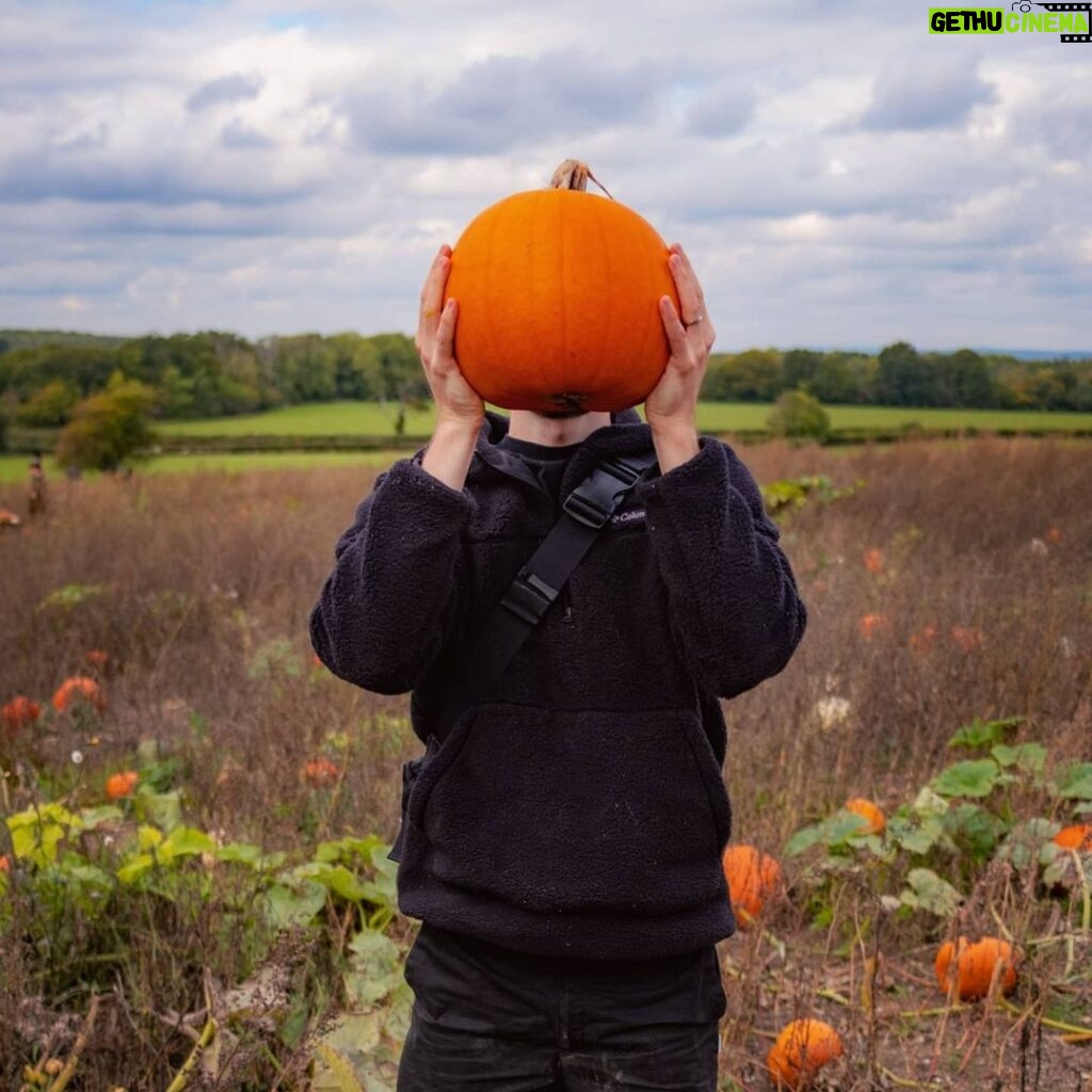 PewDiePie Instagram - Went pumpkin patchin🧨🎃