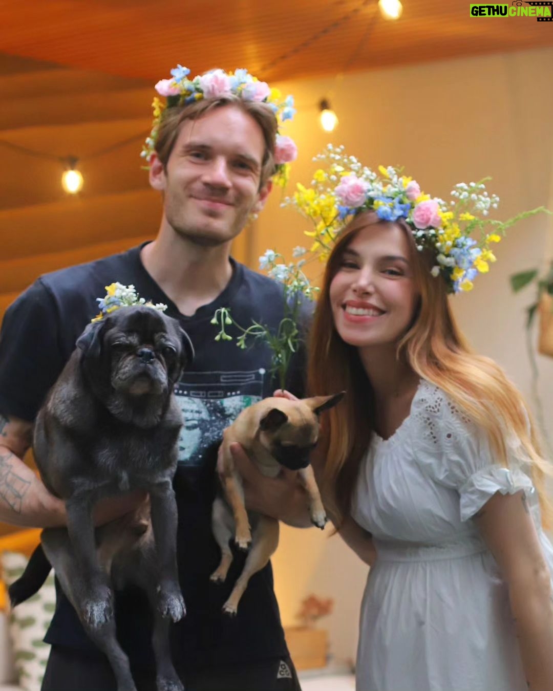 PewDiePie Instagram - Glad Midsommar (happy midsummer) from Japan! πΈπͺπΈπͺπΈπͺ Embarked on a pilgrimage to the holy grounds (IKEA) to pay my homage this year. .