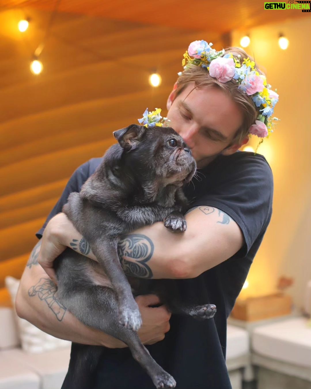 PewDiePie Instagram - Glad Midsommar (happy midsummer) from Japan! πΈπͺπΈπͺπΈπͺ Embarked on a pilgrimage to the holy grounds (IKEA) to pay my homage this year. .