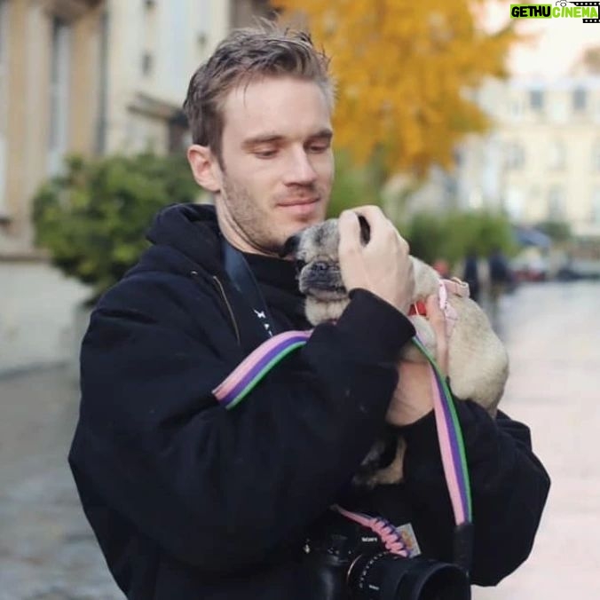 PewDiePie Instagram - Said farewell to my little Maya 💔 this morning.. 17 years is a long time for a pug, but no time in the world would've ever been enough.. I didn't think I could love a dog as much as I loved her.. ❤️ Thank you for all the wonderful time we got to spend with you ❤️ Thank you for always making my days brighter ❤️ Thank you for bringing me closer to Marzia♥️ I will miss you so much and I already do.. you will always be in my heart Maya ♥️♥️♥️