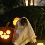 PewDiePie Instagram – 🎃 Happy Halloween 🎃 from the Kjellbergs