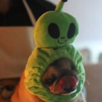 PewDiePie Instagram – 🎃 Happy Halloween 🎃 from the Kjellbergs