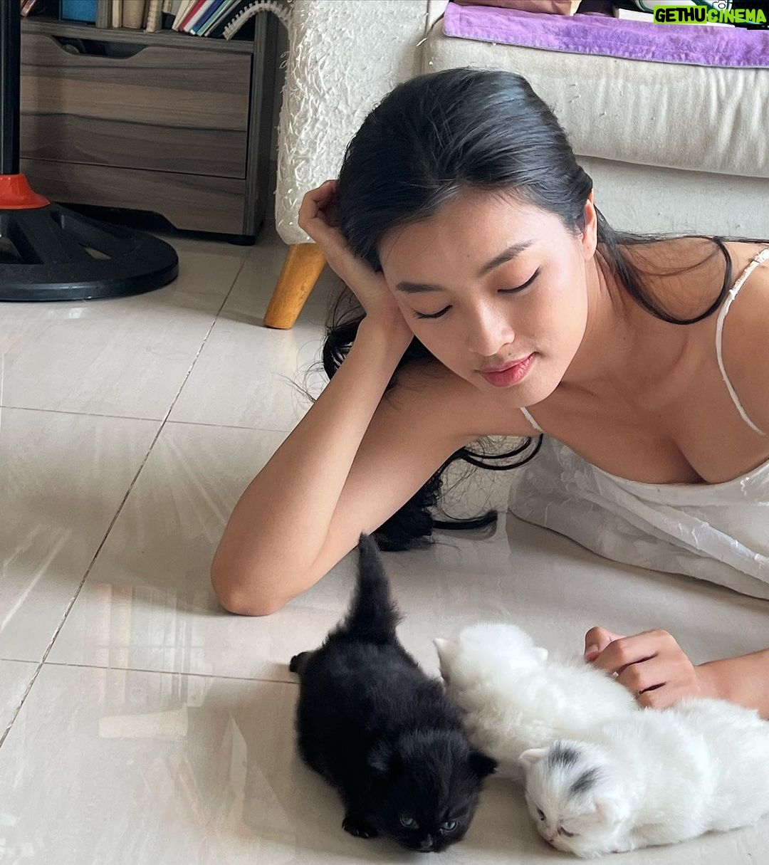 Phạm Nguyễn Lan Thy Instagram - Gia đình nhỏ có cô công chúa và bầy mèo