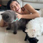 Phạm Nguyễn Lan Thy Instagram - Gia đình nhỏ có cô công chúa và bầy mèo