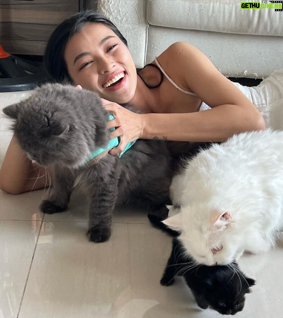 Phạm Nguyễn Lan Thy Instagram - Gia đình nhỏ có cô công chúa và bầy mèo