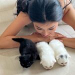 Phạm Nguyễn Lan Thy Instagram - Gia đình nhỏ có cô công chúa và bầy mèo