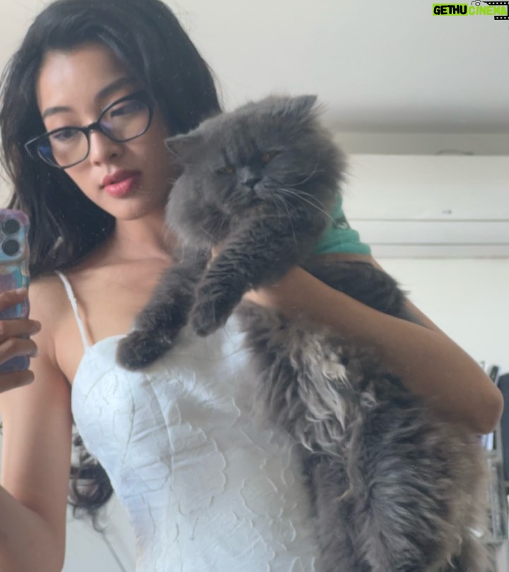 Phạm Nguyễn Lan Thy Instagram - Gia đình nhỏ có cô công chúa và bầy mèo