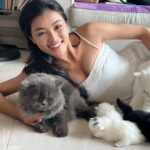 Phạm Nguyễn Lan Thy Instagram - Gia đình nhỏ có cô công chúa và bầy mèo