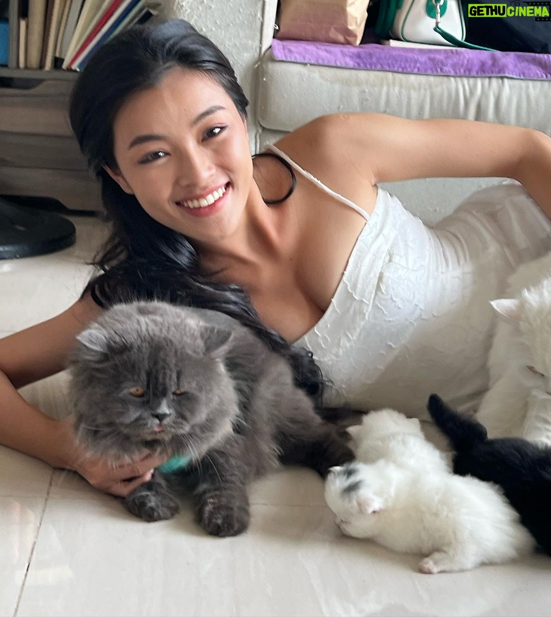 Phạm Nguyễn Lan Thy Instagram - Gia đình nhỏ có cô công chúa và bầy mèo