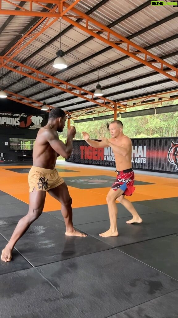 Phil Hawes Instagram - When @petr_yan shows you why they call him “no mercy”🤕😵‍💫 🎥 @createmoveinspire #nohype #nomercy #ufc #mma Tiger Muay Thai & MMA Training Camp, Phuket, Thailand