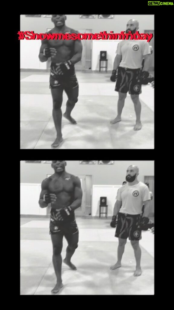 Phil Hawes Instagram - 🚨 #itstime 🚨 for #showmesomethinfriday ⁉️ Who- @jaredflashgordon ⁉️What- How to keep your opponent down and finish the fight! #nohype #mma #ufc 🗣 If you have suggestions for next weeks episode let me know in the comments 🙏🏾🙇🏾‍♂️ Fort Lauderdale, Florida