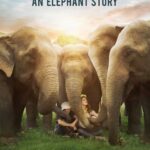 Philipp Christopher Instagram - I was fortunate to have been invited to a screening of this film in Berlin over the weekend and was shocked about the threat we pose as tourists to these animals, particularly in Asia. In 1900, there were around 10 Million elephants left on this planet, today there are about 450 thousand. Please consider not going to ride elephants, visit circuses or buy any elephant related products. Germany still has not banned ivory from being imported into the country. Share your voice and concern and become aware of the imminent extinction of these fantastic animals. . . . #loveandbananas #savetheelephants #banivory #savelephantfoundation